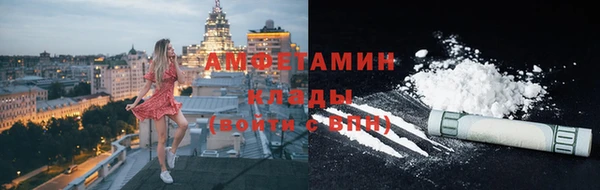 прущие грибы Куйбышев