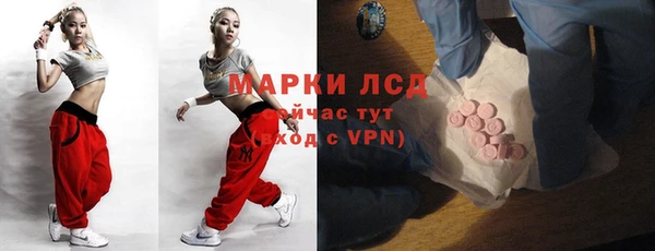 ГАЛЛЮЦИНОГЕННЫЕ ГРИБЫ Кулебаки