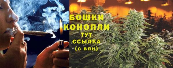 ГАЛЛЮЦИНОГЕННЫЕ ГРИБЫ Кулебаки
