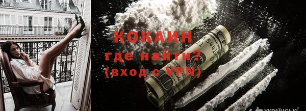 прущие грибы Куйбышев