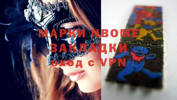 прущие грибы Куйбышев