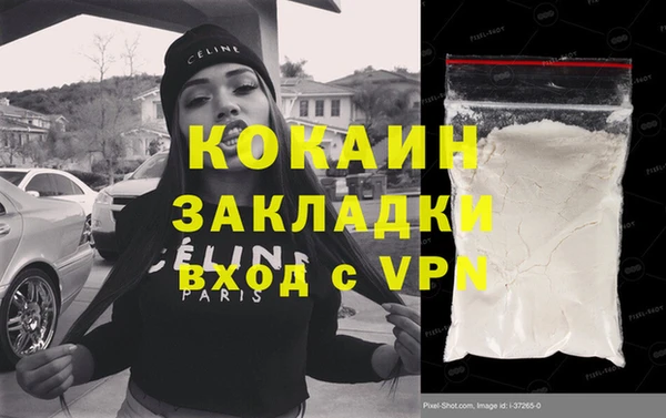 прущие грибы Куйбышев