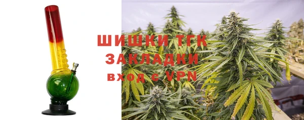 прущие грибы Куйбышев