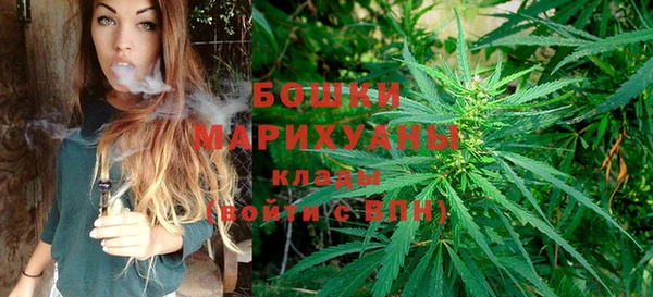 прущие грибы Куйбышев