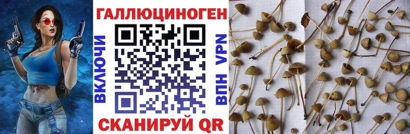 Псилоцибиновые грибы прущие грибы  наркотики  Новочебоксарск 