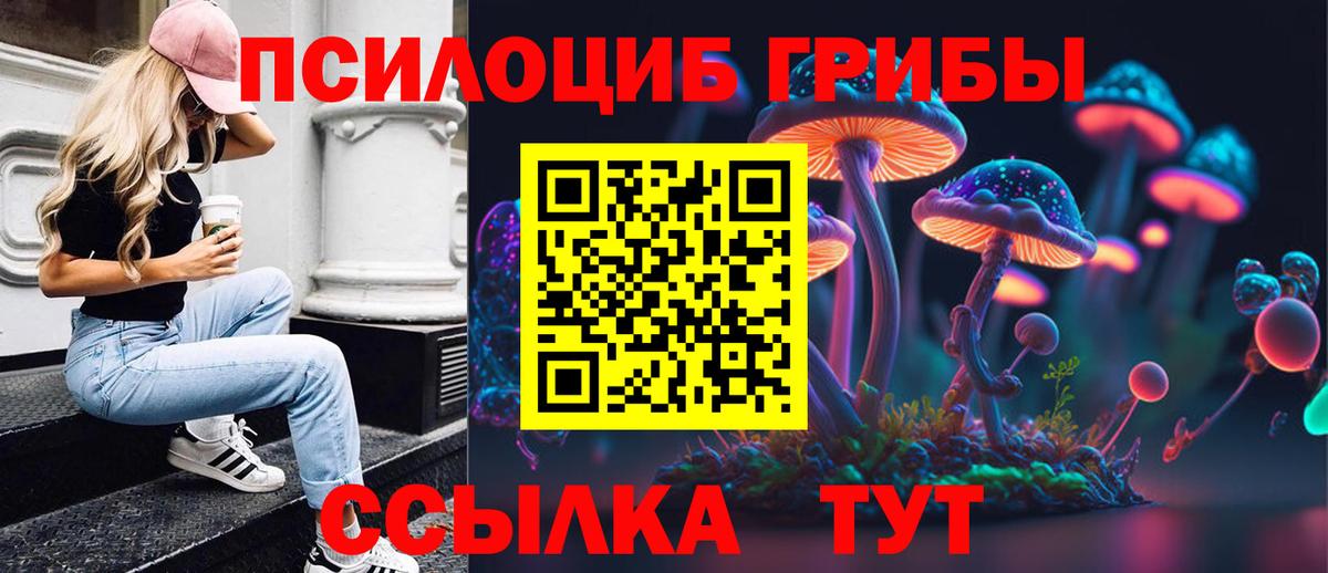 Галлюциногенные грибы Cubensis Новочебоксарск